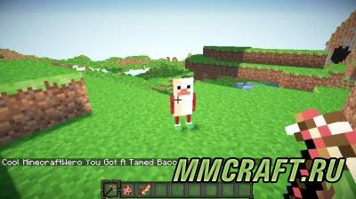 Мод Bacon для Minecraft 1.6.4 Мод Bacon для Minecraft 1.6.4