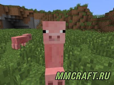 Creeper Species 1.7.2 Creeper Species 1.7.2