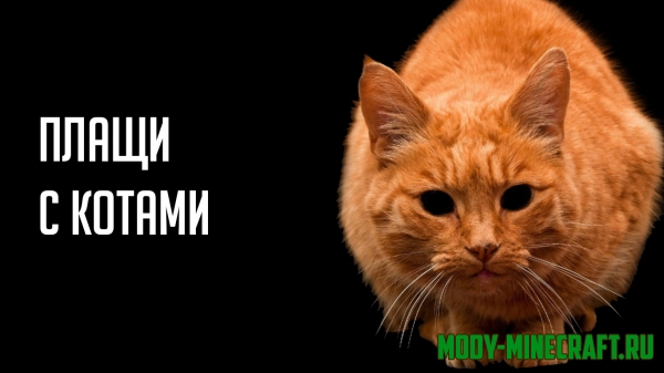 Плащи с котами для Minecraft