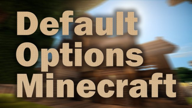 Мод Default Options 1.16.1/1.15.2