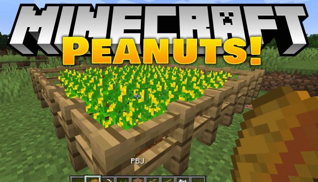 Peanuts — Мод на арахис 1.16.1 / 1.15.2