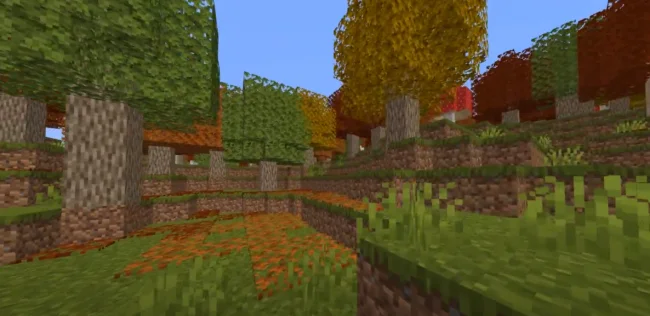 Биом кленового леса