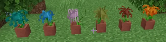 Репейный мак