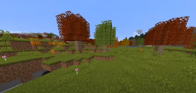 Биом тыквенных полей