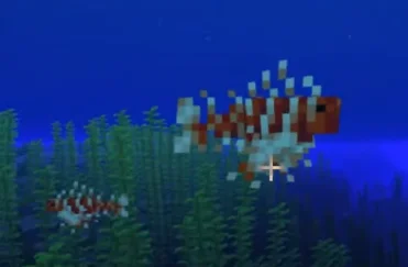 Крылатка-зебра