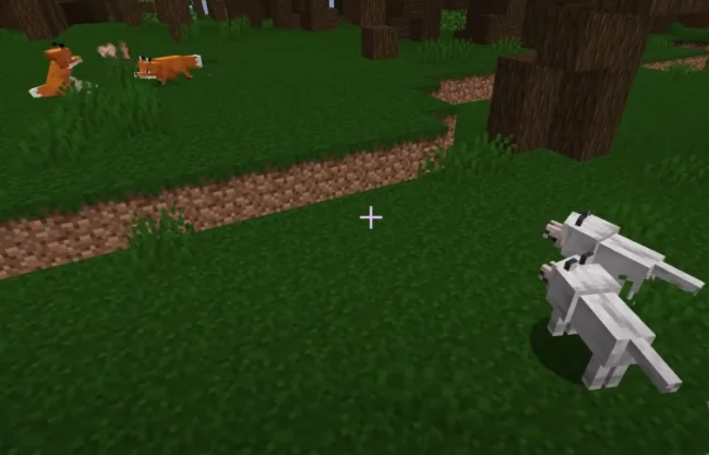 Волки охотятся на лис