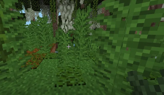 Гигантский папоротник