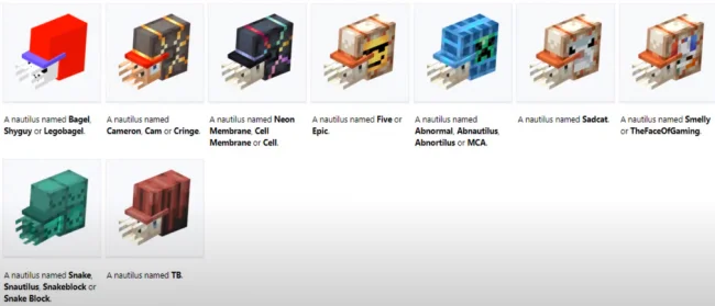 Расцветка наутилусов