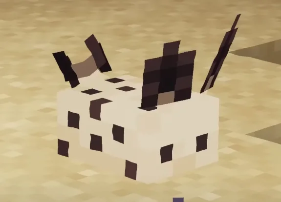 Морской заяц