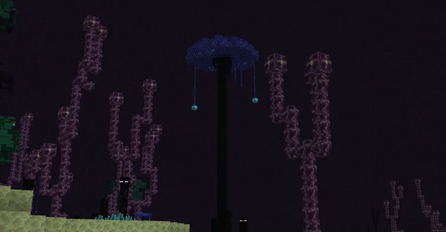 Новое растение в биоме