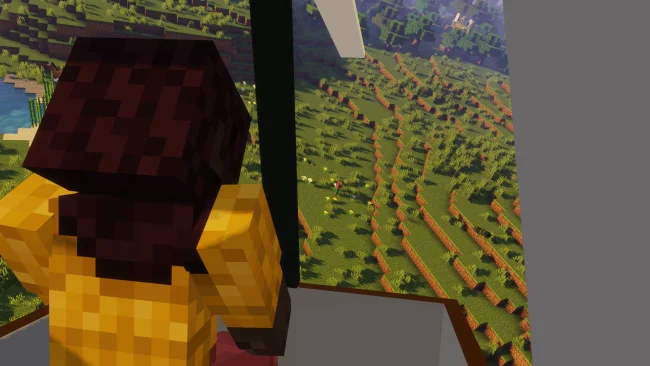 Вид от 3-его лица в самолете