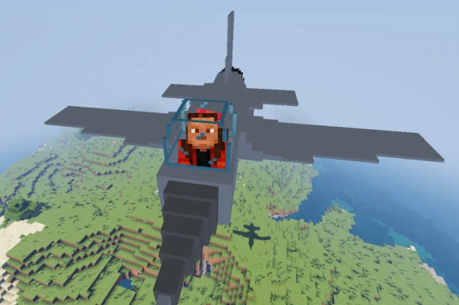 Игрок в самолете