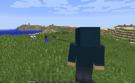 Вид из-за спины