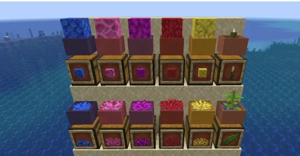 Растения на сундуках