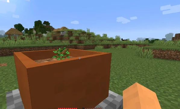 Растение в горшке