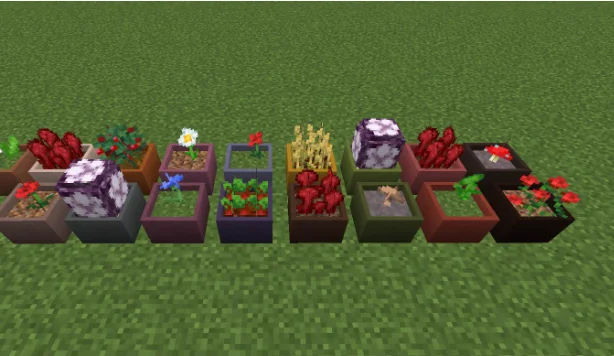 Растения на траве