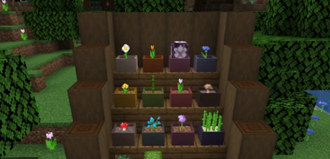 Растения на лестнице