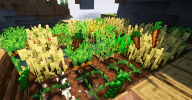 Сбор моркови