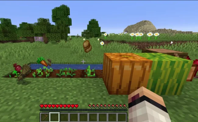 Сбор урожая