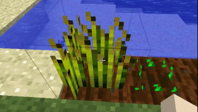 Добыча тростника