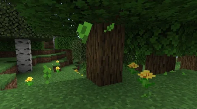 Листья дуба