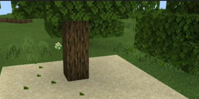 Листья на песке