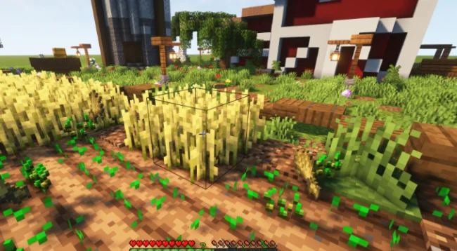 Сбор картофеля