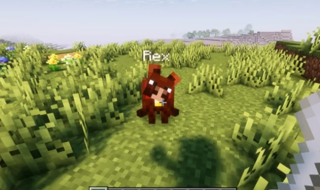 Новая порода