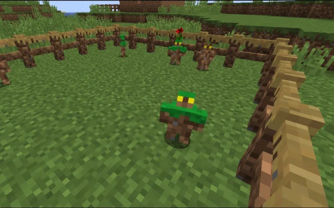 Новый забор