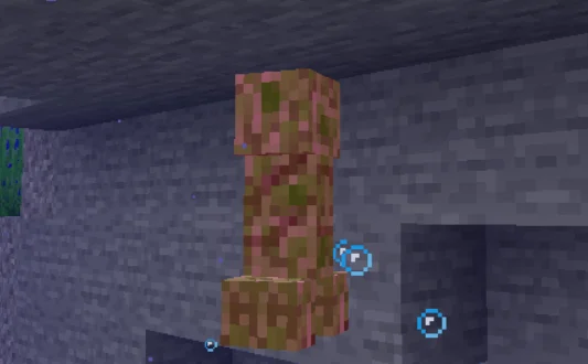 Крипер под водой