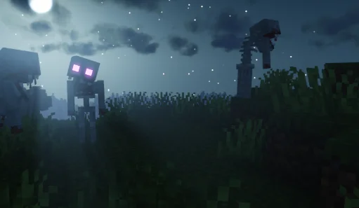 Биом из мода