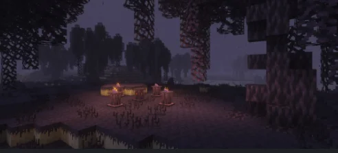 Биом из мода