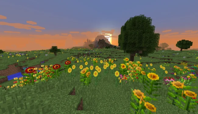 Новые цветы