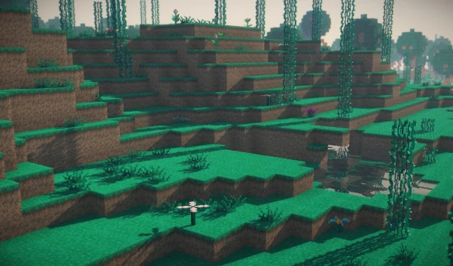 Новые растения