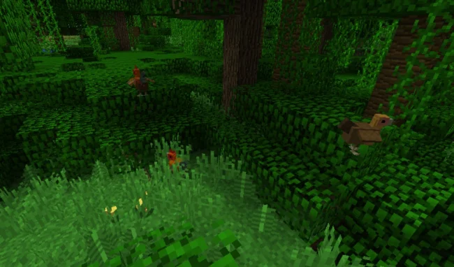 Новые птицы