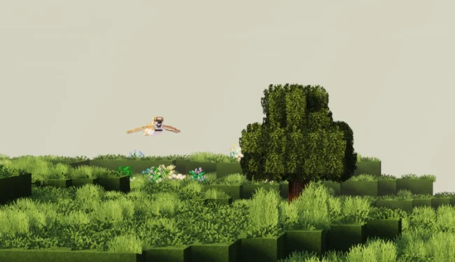 Новая птица