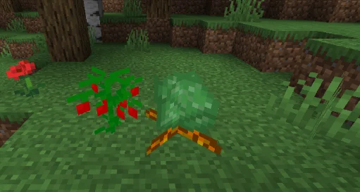 Растения с модом OctoLib