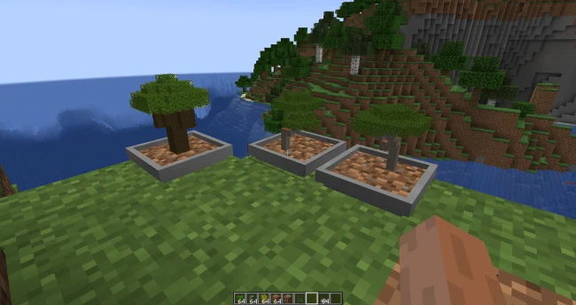 Выращивание деревьев с модом Bonsai Trees 3