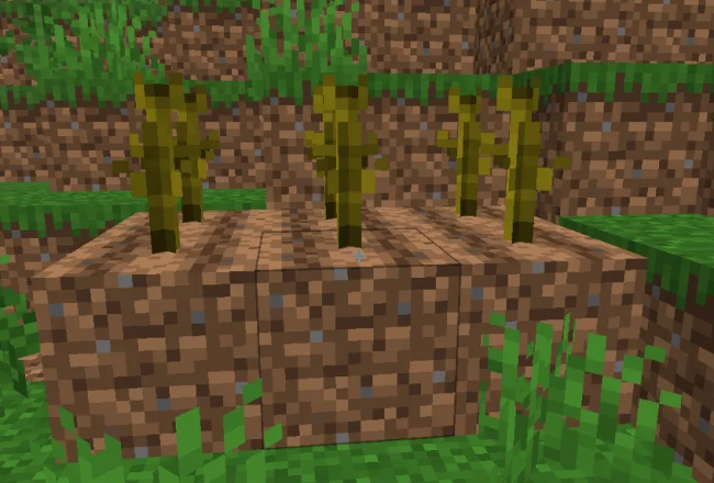 Грядки арбуза с модом Utilitarian