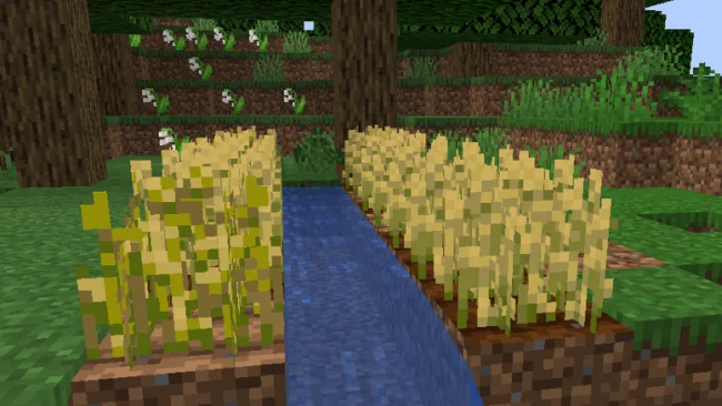 Грядки пшеницы с модом Utilitarian