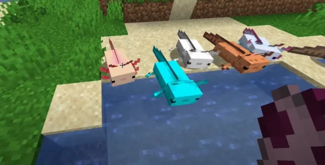 Аксолотли из мода More Axolotl Variants возле воды