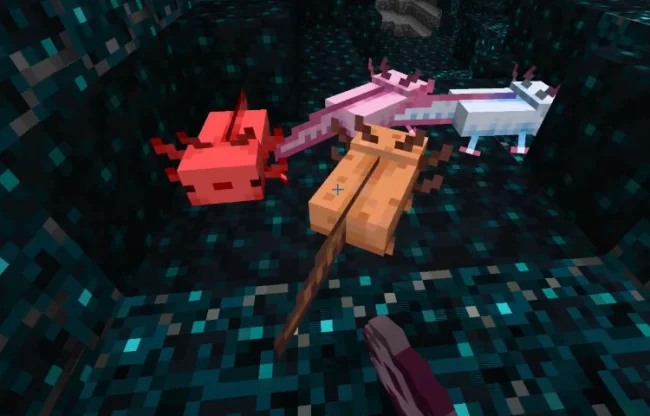 Аксолотли из мода More Axolotl Variants