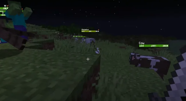 Отображение здоровья у мобов с модом YDMs MobHealthBar