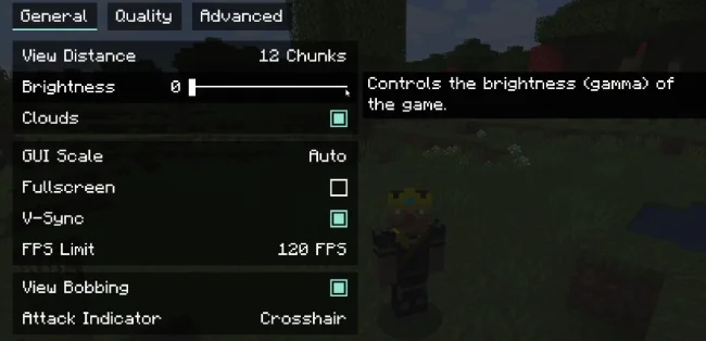 Настройки с помощью мода Phosphor в процессе игры