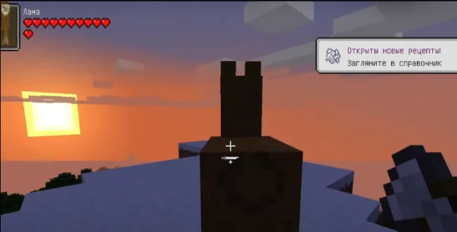 Полный индикатор здоровья из мода ToroHealth Damag у ламы