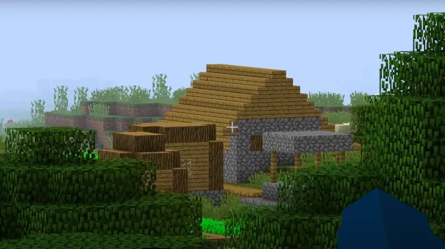 Десятикратное приближение из мода WI Zoom