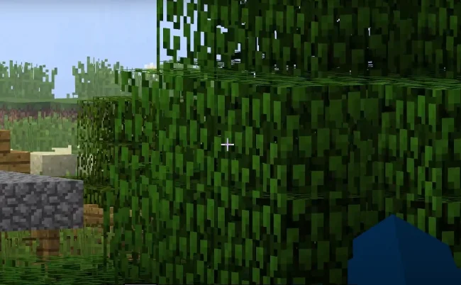 Тридцатикратное приближение из мода WI Zoom