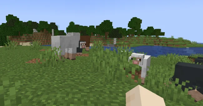 Стадо овец с модом AutoTag