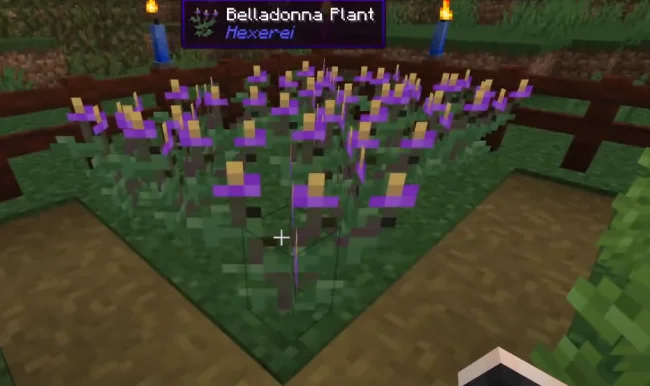 Растение из мода Hexerei