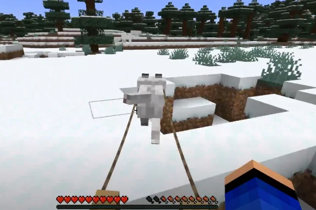 Вид от первого при поездке на собачей упряжке из мода Snowy Spirit